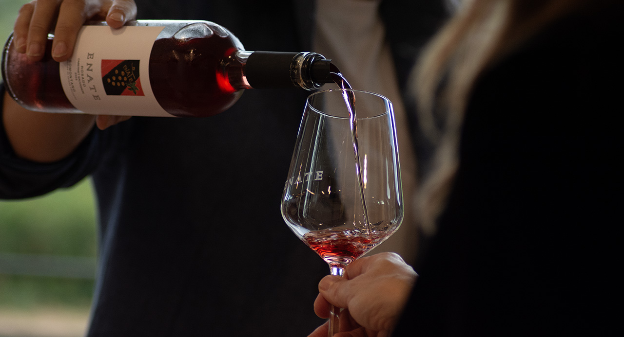 Catando somontano ENATE