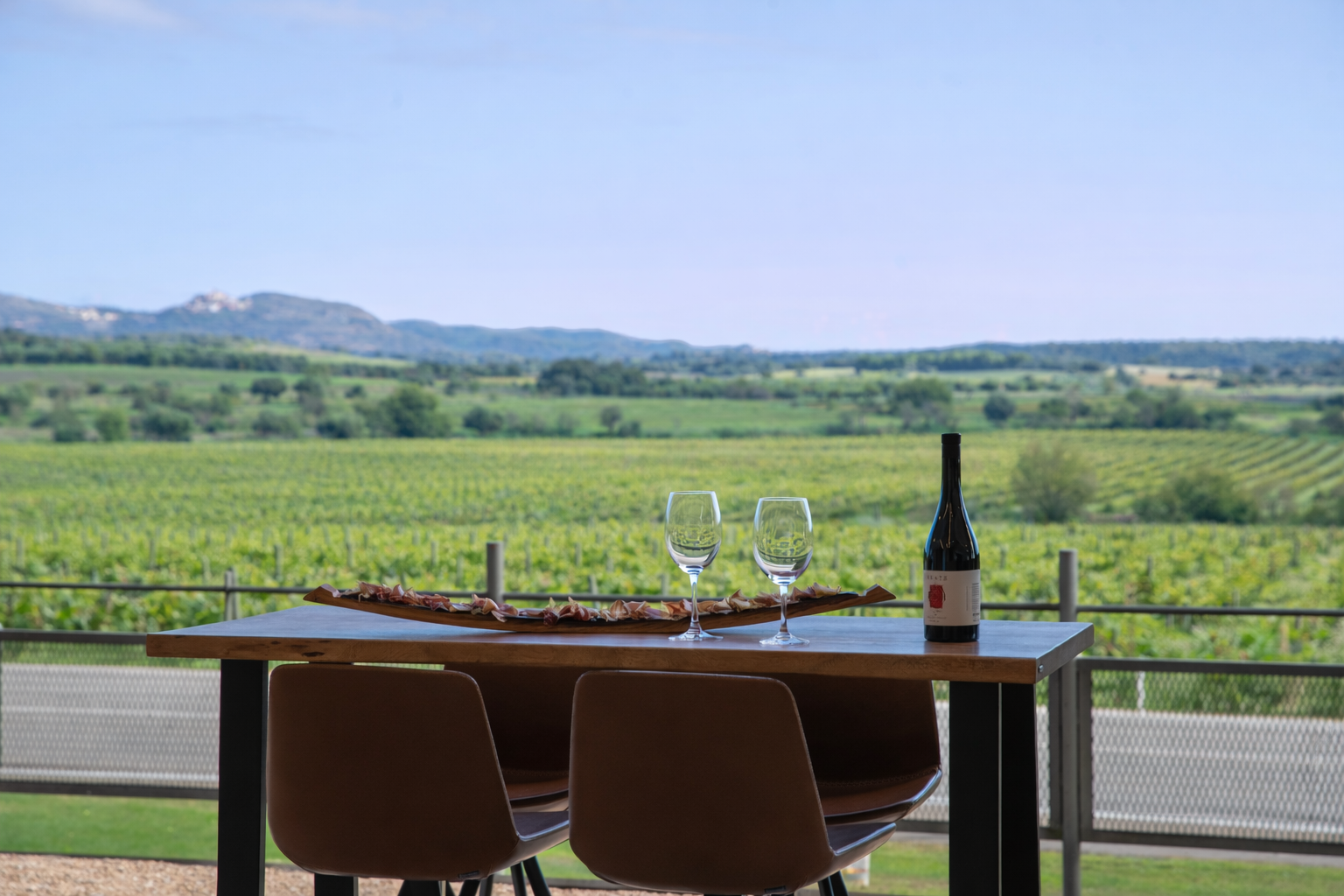 Viñedos de ENATE en el Somontano en primavera